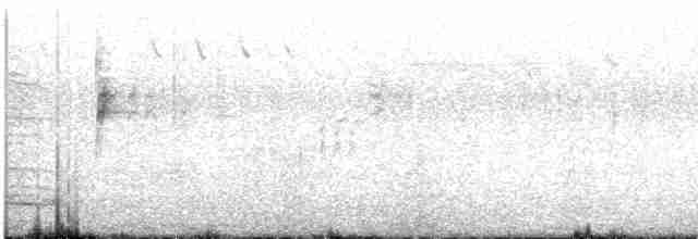 Белобровая овсянка (leucophrys/oriantha) - ML570929781