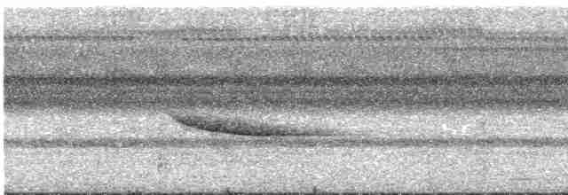 Ak Kuyruklu Karınca Ardıcı - ML570936821