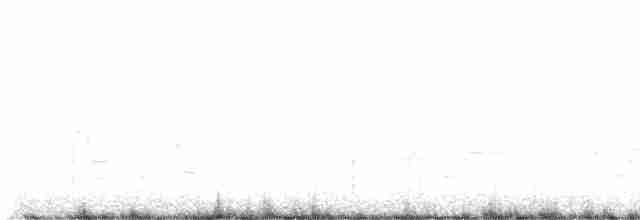 Chingolo de Baird - ML570971431