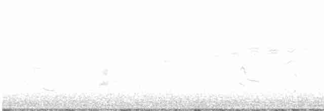 Prairie Warbler - ML571013721