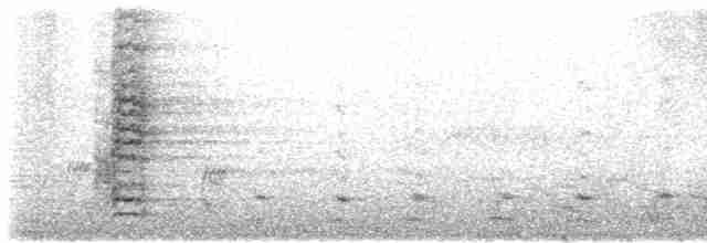 Медолюб-сережник східний - ML571092391