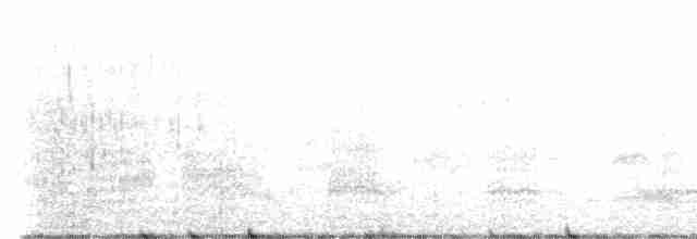 Малая морская чернеть - ML571097091
