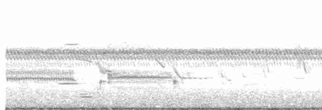 tyranovec vrbový - ML571141561