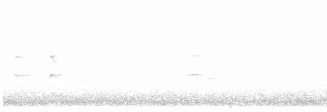 Common Tern - ML571156121