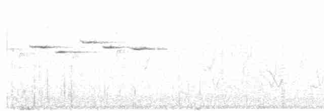 Rufous Whistler - ML571171001