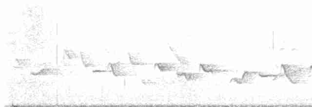 Кропив'янка прудка (підвид curruca/blythi/hamertoni) - ML571187521