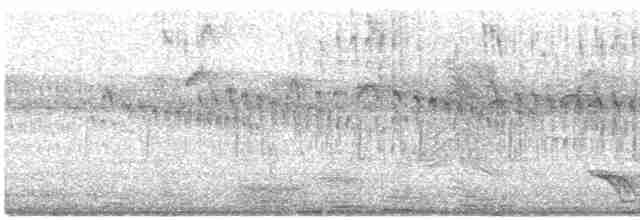 ニシヒメアマツバメ - ML571228451