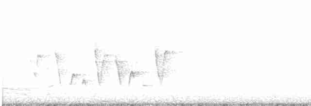 Paruline à gorge grise - ML571238591