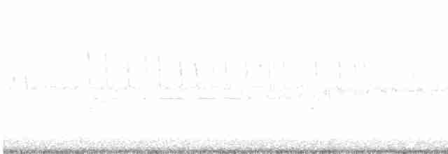 Очковая хвойница - ML571239101