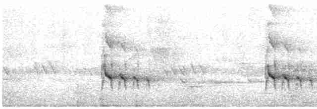 Светлобрюхий зимородок - ML571258131