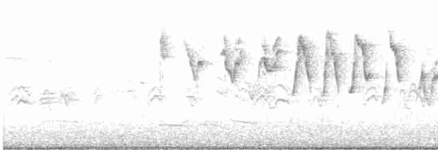 Червоїд сіроголовий - ML571269121