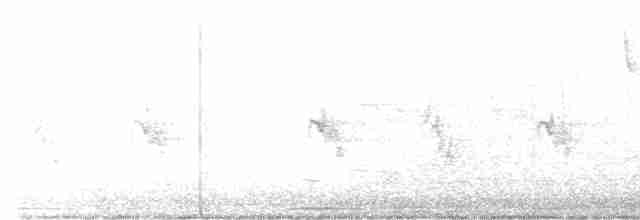 Tennessee Warbler - ML571321231
