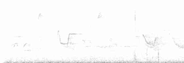 Kentucky Warbler - ML571331841