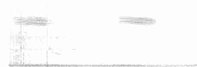 雑種 キンバネアメリカムシクイ ｘ アオバネアメリカムシクイ（F2戻し交配） - ML571365521