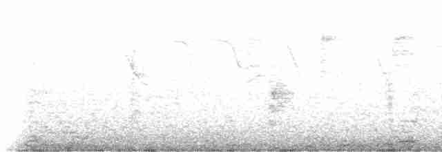 Sparkling Violetear - ML571369281