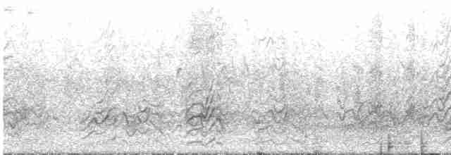 Kara Sırtlı Sumru - ML571387621
