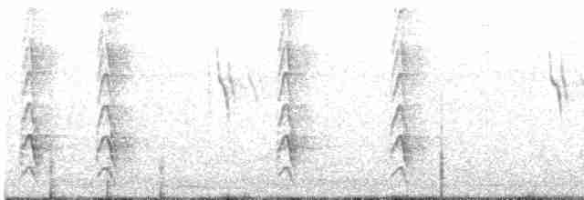 Carpintero de Gila - ML571395221