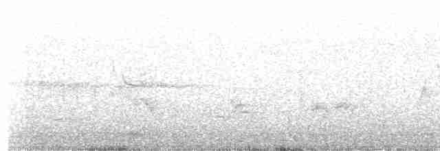 lesňáček černobílý - ML571398921