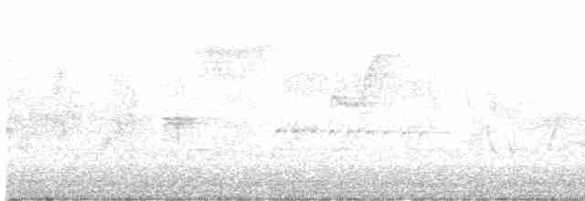 Spotted Towhee (oregonus Group) - ML571494881
