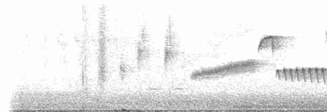 Bewick Çıtkuşu [spilurus grubu] - ML571497921