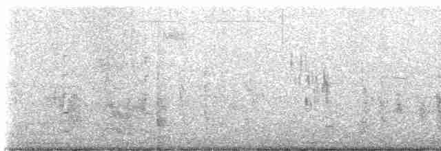 Черноухая крачка - ML571519881