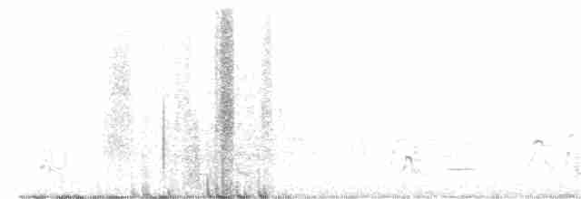 Sharp-tailed Grouse - ML571528441