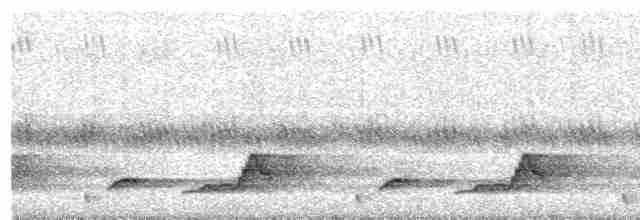 Schwarzkehl-Nachtschwalbe - ML571534121