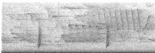 Пересмішник сірий - ML571552521
