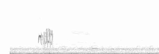 Американский бекасовидный веретенник - ML571564511