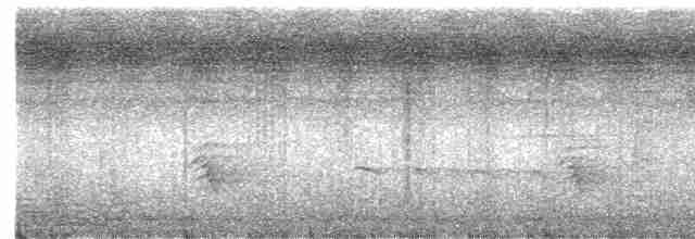 Coucou de Sonnerat - ML571581981