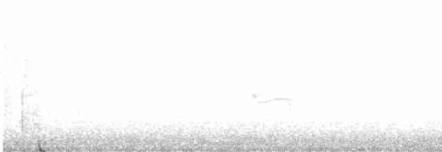 Yellow-bellied Flycatcher - ML571582011