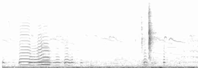 Cisne Trompetero - ML571583711