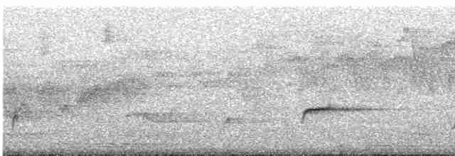 Дрізд-короткодзьоб Cвенсона - ML571586221