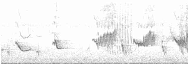 Кактусовый крапивник - ML571603031