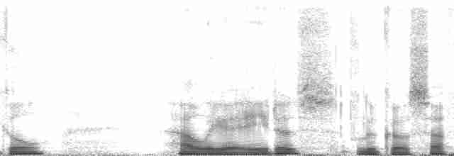 Орлан білоголовий - ML57162