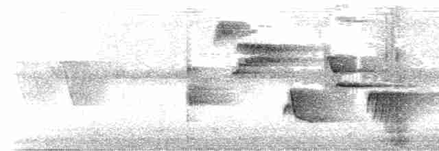 Turuncu Gagalı Bülbül Ardıcı - ML571623871