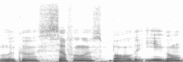 orel bělohlavý - ML57163
