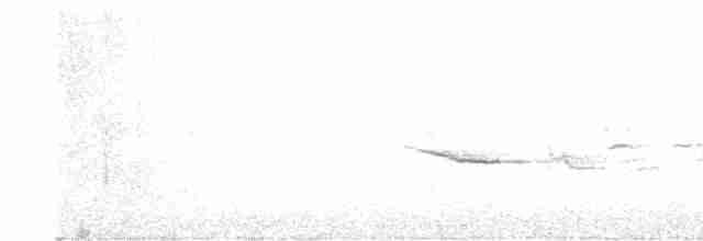 Hermit Thrush (guttatus Group) - ML571645511