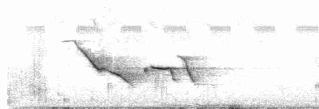 Doğulu Tarlasığırcığı - ML571652761
