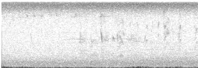 Светлогорлый мухолов - ML571674781
