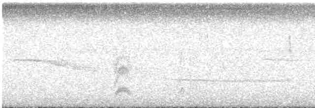 Піві-малюк світлогорлий - ML571674791