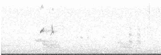 Striated Fieldwren - ML571691471