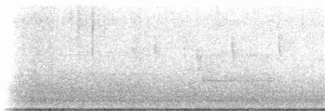 Тремблер прямодзьобий - ML57170591
