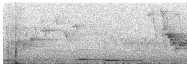 Common Cuckoo - ML571706771