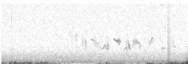 Western Black-eared Wheatear - ML571730141