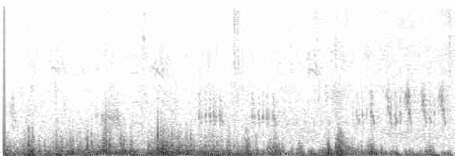 Great Reed Warbler - ML571739921