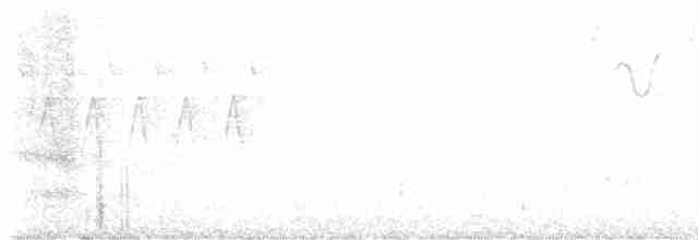 Красноплечий канюк - ML571771251