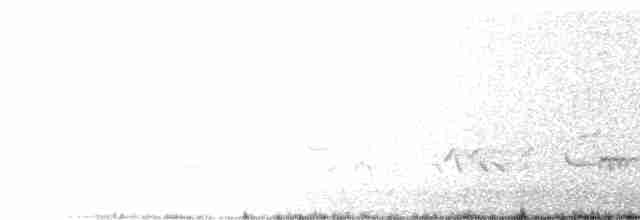 Белобровая овсянка (leucophrys/oriantha) - ML571778291