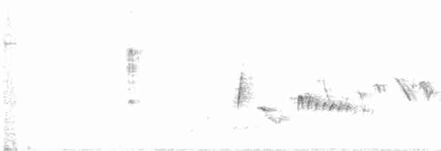 Vireo Ojiblanco - ML571794141
