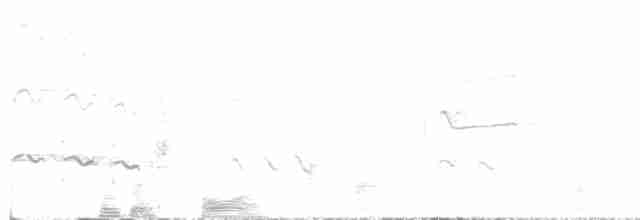 Kuliska hankahori handia - ML571797481